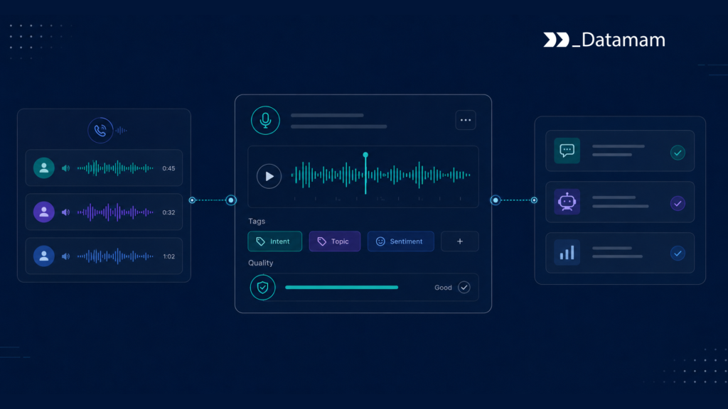 Voice AI Training Data