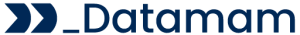 DataMam Logo